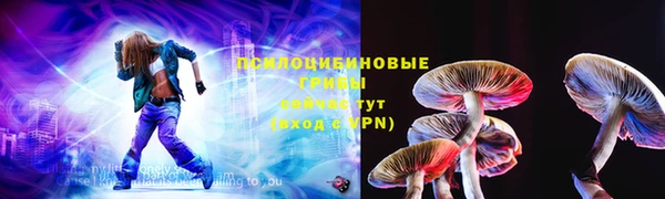 крисы Алексин