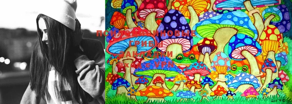 марки lsd Переславль-Залесский